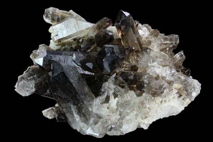 Dark Smoky Quartz Crystal Cluster - Brazil #124592